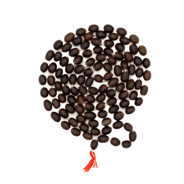 Original Kamal Gatta Mala | Made from Original Lotus Seeds | Original 108 Lotus beads | Pack of 1