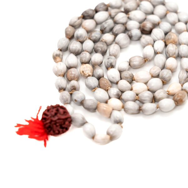 Vaijanti Mala (108 + 1 Beads)/ Jaap Vaijanti Mala
