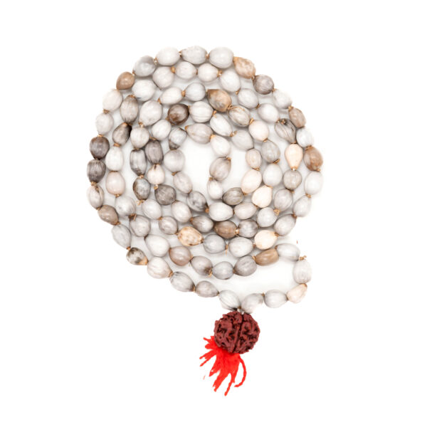 Vaijanti Mala (108 + 1 Beads)/ Jaap Vaijanti Mala - Image 3